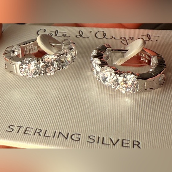 Cate d’Argent Jewelry - Silver Hoop Earrings